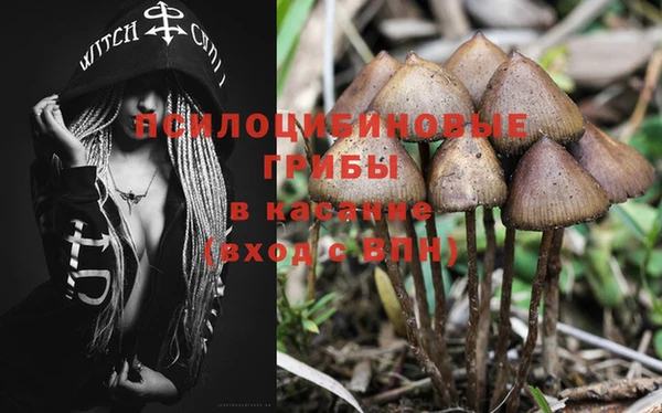 МДПВ Коряжма